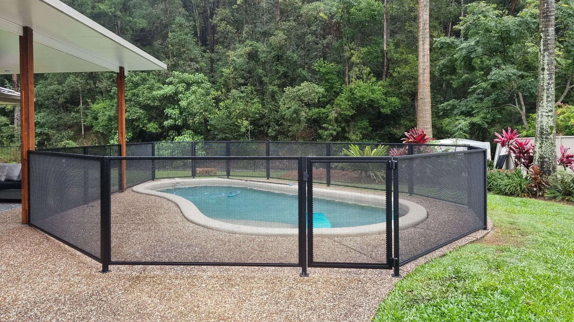A black PurePerf fence and gate around a kidney-shaped pool, with rainforest behind