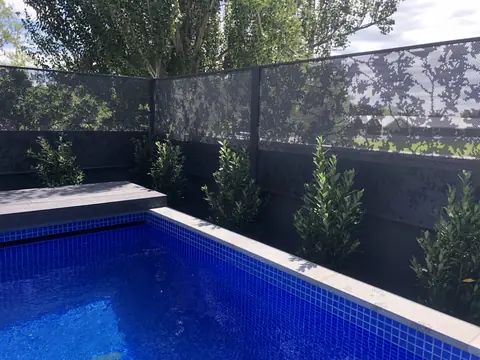 Monument grey Banksia design panels above a blue tiled plunge pool and a row of young plants