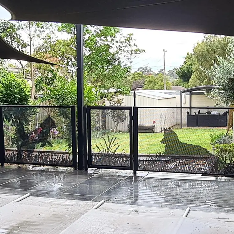 Two dogs cut into a black PoolPerf pool gate and fence on a wet tiled pool surround