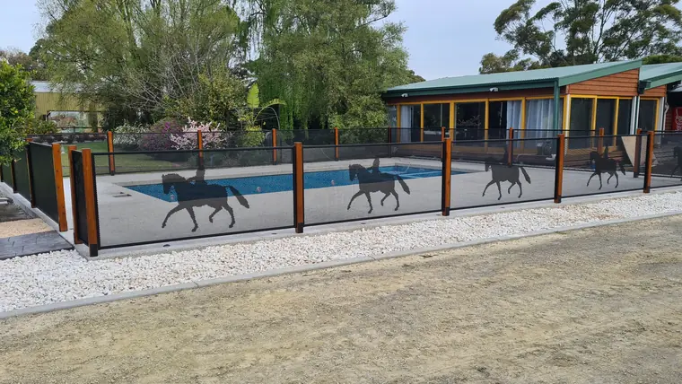 Horses cut into a PoolPerf pool fence between timber posts, on a property in Victoria