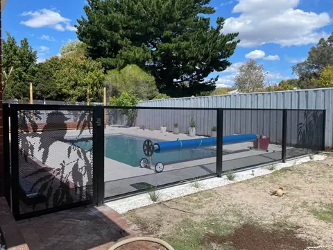 A black PoolPerf pool gate with a kookaburra sitting on a gum branch, beside a pool with a slide