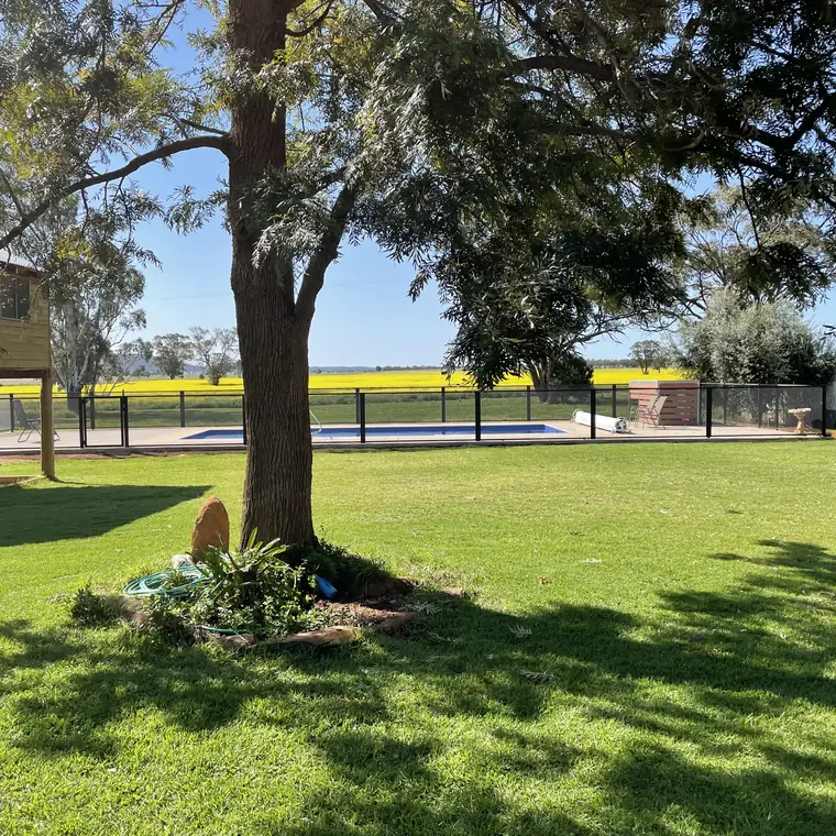 A country backyard with a big shade tree, a pool and a black PoolPerf fence, with the paddocks visible beyond