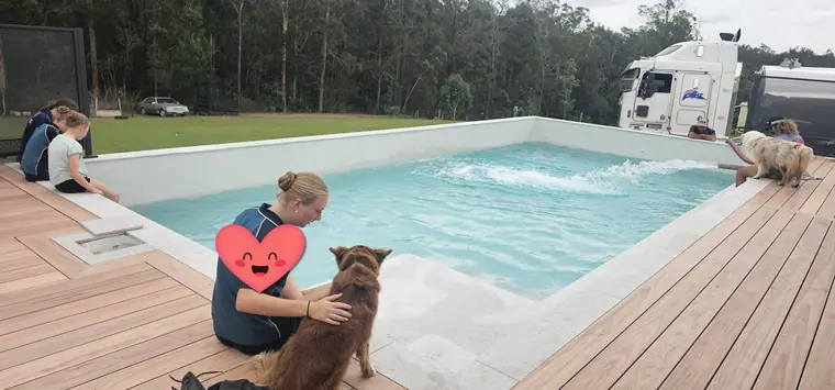 Katrina Agnew&rsquo;s PoolPerf pool fence, photographed by Katrina and posted on Facebook