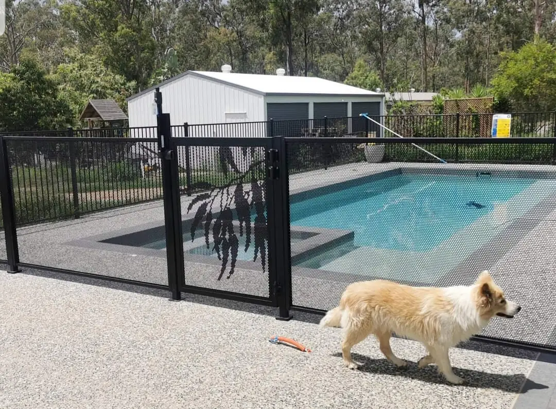 A flat top fence around a Queensland pool with a black Gum design PoolPerf panel beside the gate, and the family dog walking past