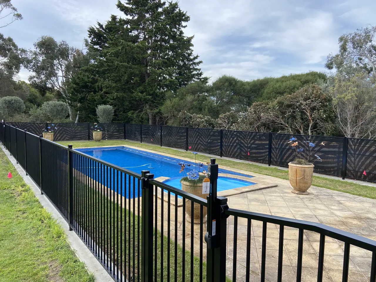 A Victorian pool with a black flat top fence and gate in the foreground and black Palmy design PoolPerf panels across the far side